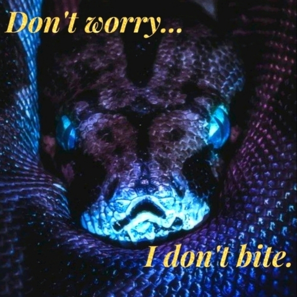 🥰 Offers Welcome 🤗 - Picture 2 of 2